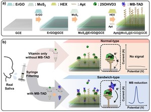 이원석 한국교통대 교수팀, ‘타액 내 비타민D 검출 센서 개발’ 개발