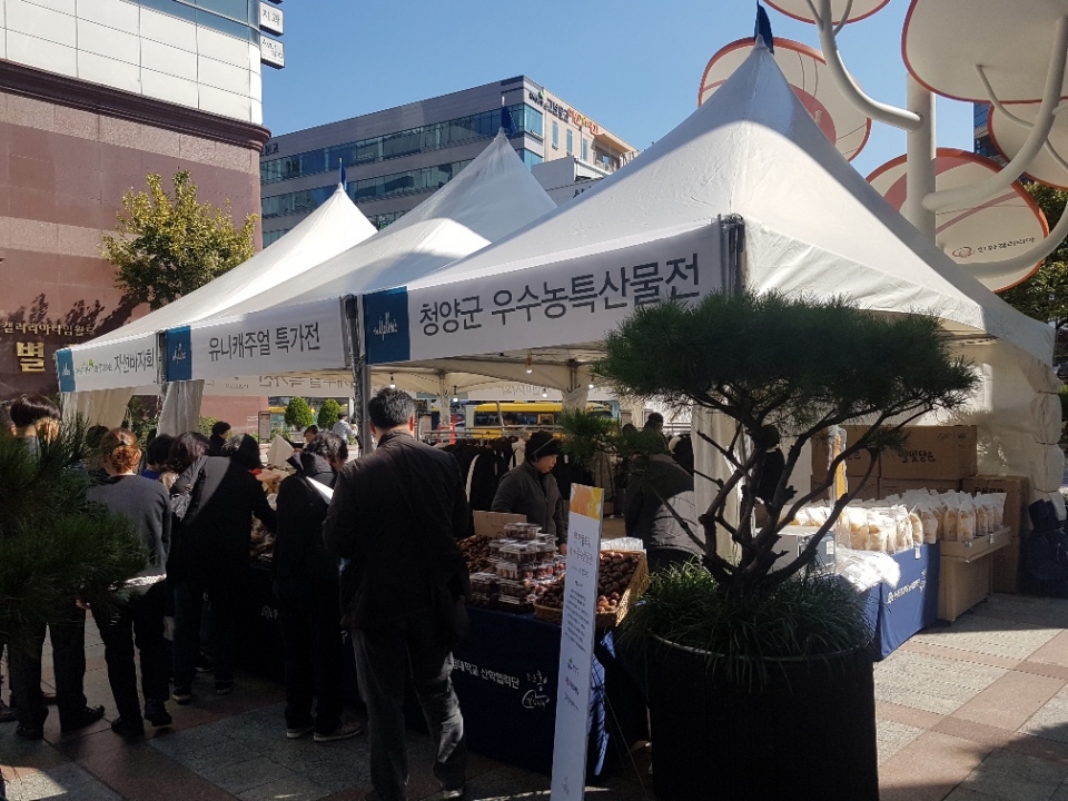 대전 갤러리아 백화점에서 청양 우수 농특산물 특별판매전이 열리고 있다. 이번 행사는 18일까지 진행된다.