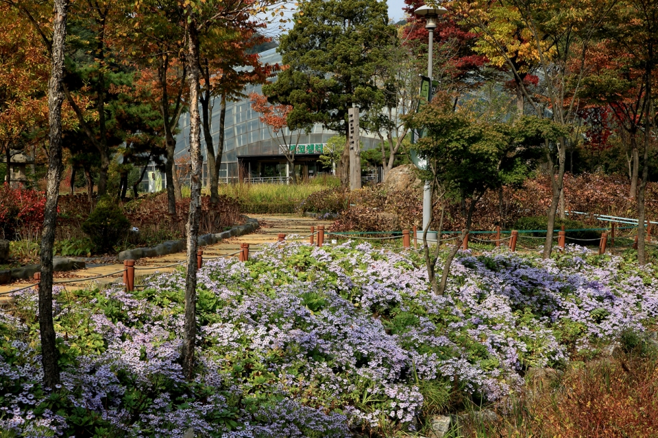신구대학교식물원이 10월 가을 꽃 전시를 개최한다.
