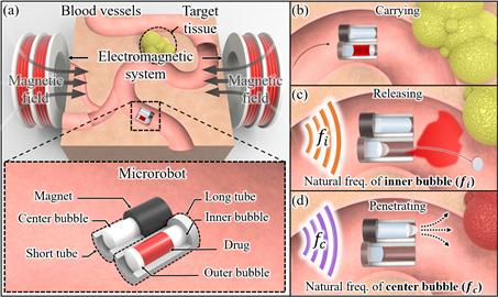 전자기력으로 구동하는 초소형 로봇을 이용한 체내의 표적약물전달 기술 (a) 초소형 로봇의 구동 도식도 (b) 음파에 의해 떨리는 기포를 이용한 약물전달 도식도