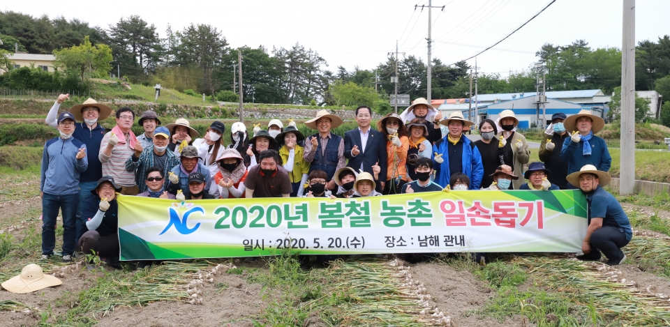 남해대학 교직원들이 마늘 수확 봉사활동에 나섰다.