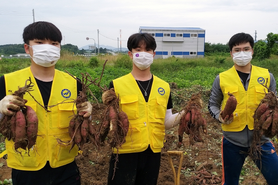 우석대 사회봉사실이 직접 재배하고 수확한 고구마를 지역사회에 기부했다.