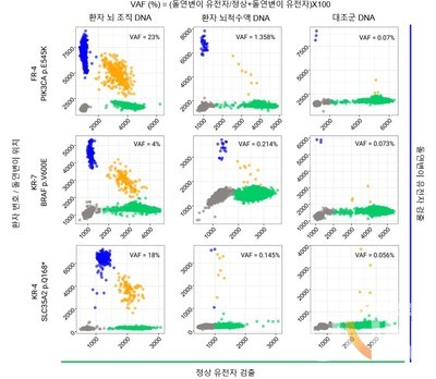 디지털 중합효소 연쇄반응을 통해 세 환자의 뇌척수액에서 발견된 병인 돌연변이 (사진=KAIST 제공)