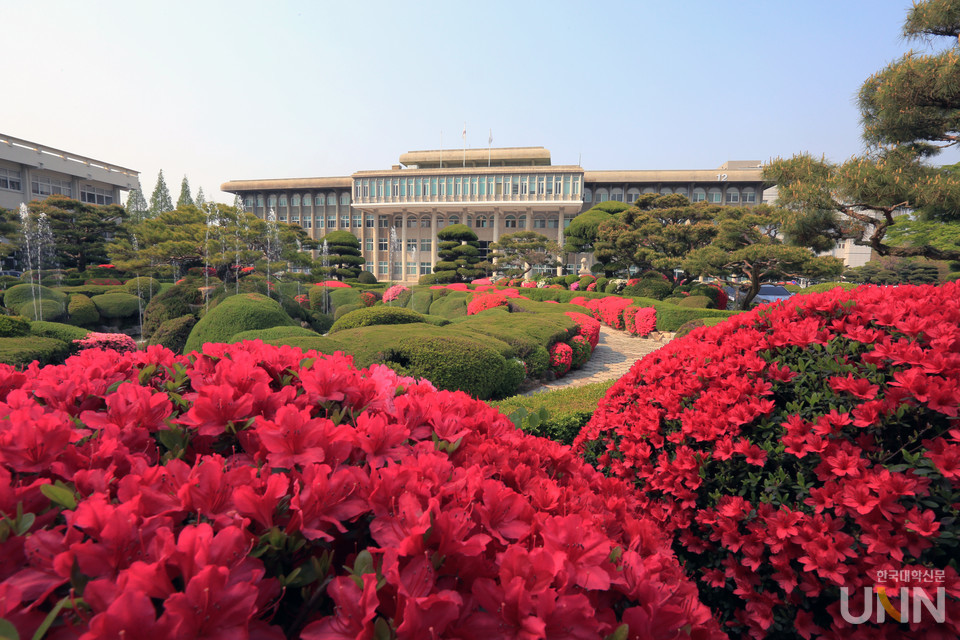 원광대 전경(사진=원광대 제공)