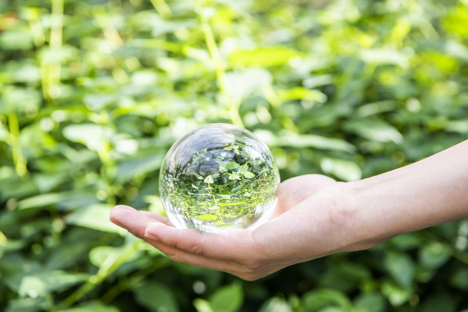 사진=아이클릭아트