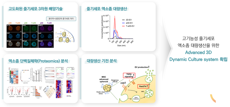 연구성과 요약도. (이미지=건국대 제공)