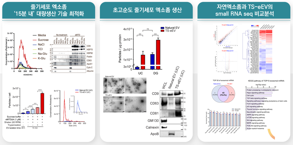 연구결과 요약도. (이미지= 건국대 제공)