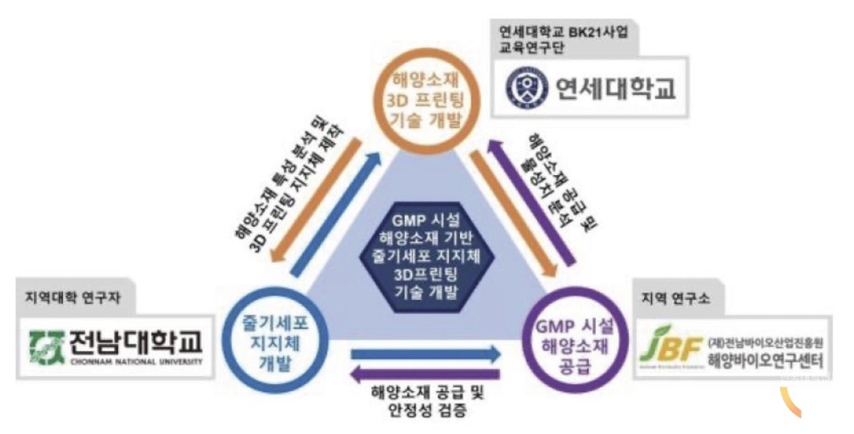 연세대, 전남대, 해양바이오연구센터 연구 추진전략. (자료=류원형 교수)