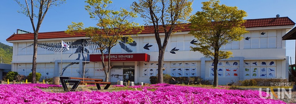 경북대 자연사박물관.