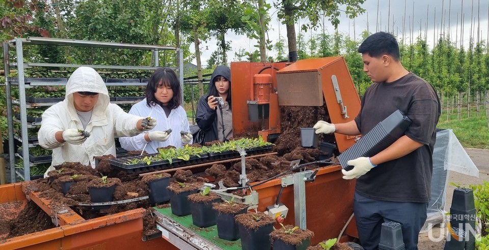 네덜란드를 방문한 연암대 청년 영농인재 12명이 정원 농장 실습을 체험하고 있다.
