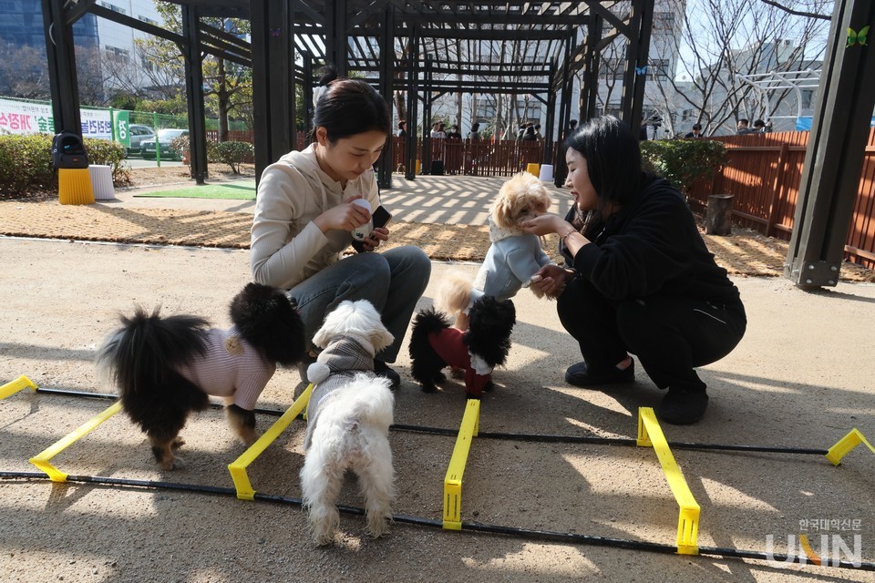반려동물대학 실습 모습. (사진=동명대 제공)