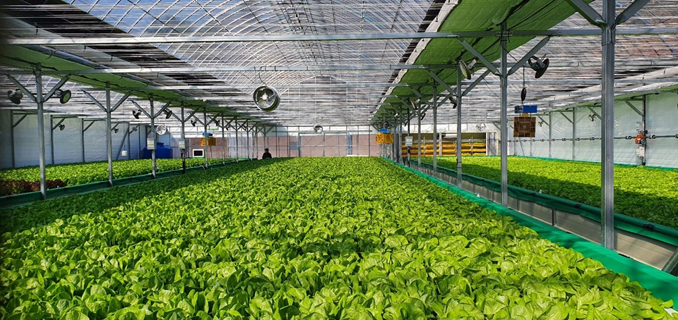 스마트팜학과 실습 시설 모습. (사진=송곡대)