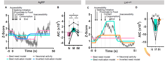 대표 실험 결과, 컴퓨터 모델링을 통해 해당 신경 활성이 어느 심리 요소에 더 가까운지 보여준다. 회색선:신경 신호, 빨강선:최적의 배고픔 모델, 초록선: 최적의 식욕 모델, 파랑/주황선: 최적의 대조군 모델