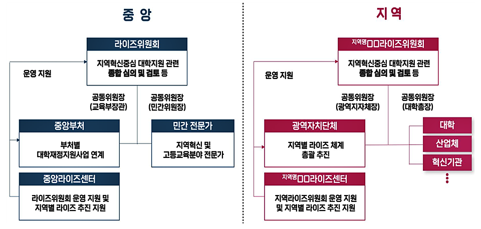중앙-지역 라이즈 거버넌스 구조도 (자료=교육부)