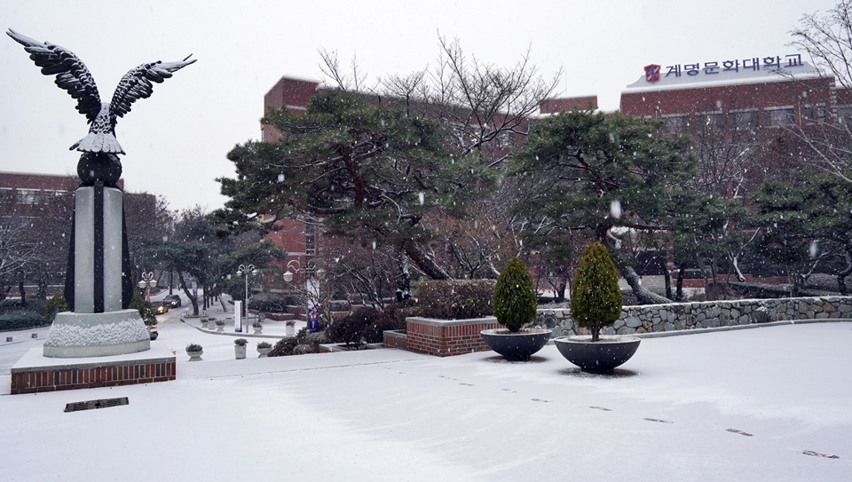 계명문화대 전경 (사진=계명문화대)