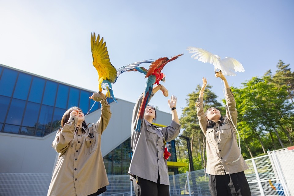 올해 ‘지역혁신중심 대학지원체계(RISE, 라이즈)’가 본격 도입되는 가운데 대학의 자율성과 정체성 강화가 중요해질 전망이다. 대경대 동물사육복지과 재학생들 모습. (사진=한국대학신문 DB)