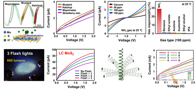 3차원 액정성 섬유 센서의 다기능성 평가.수소 이온 농도, 암모니아 가스, 광 감지, 기계적 변형에 반응하는 3차원 액정성 섬유 센서로서의 활용성을 입증했다.