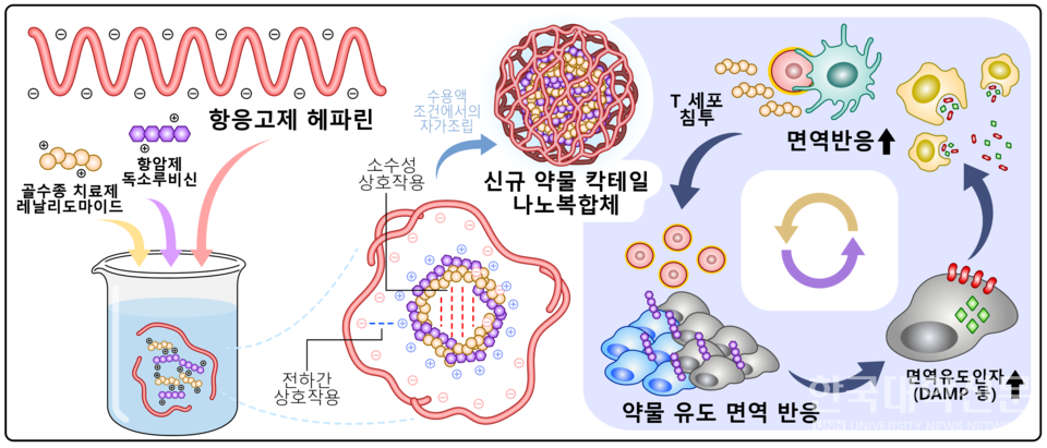 연구 모식도. 기존 약물을 조합해 새로운 항암치료용 나노물질을 만들어냈다.