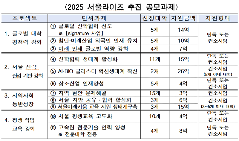서울형 라이즈 추진 공모과제 참고표. (자료=서울시)