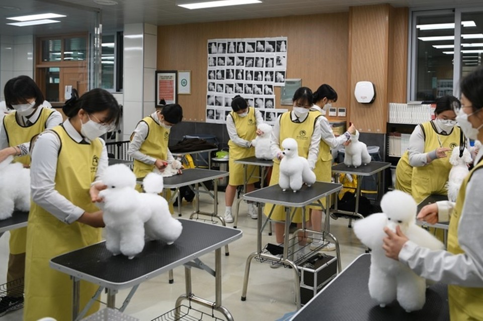 (사진=한국대학신문 DB)