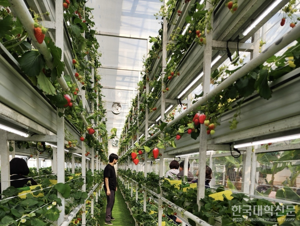 서정대는 2025학년도 학사학위전공심화과정으로 그린농식품가공학과를 신설하고 첨단 스마트팜 교육을 본격적으로 실시한다. (사진=한국대학신문 DB)