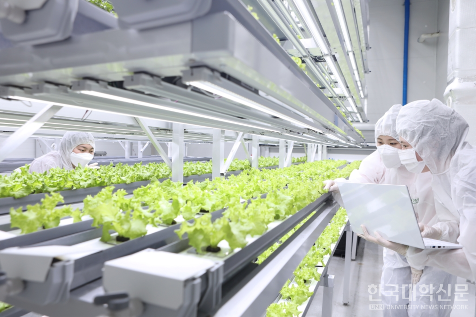 연암대 스마트팜 수직농장 실습현장. (사진=연암대)