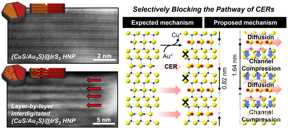 나노입자 내 선택적으로 양이온이 이동하는 경로를 제어함으로써 원자층 수준에서 교차된 이종 구조체를 합성하는 방법론에 관련된 모식도.