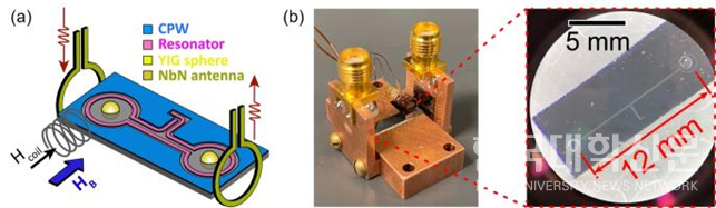 초전도 회로 기반 마그논-광자 하이브리드 시스템. (a) 소자 개략도. 실리콘 기판 상에 제작된 NbN 초전도 공진기 회로와 구형 YIG 자성체(지름 250 μm)를 결합하고, 수직 안테나를 통해 마그논을 생성, 실시간으로 측정함. (b) 실제 소자 사진. 두 YIG 구체 간의 거리는 12 mm로, 초전도 회로 없이는 서로 영향을 줄 수 없는 수준의 거리임.