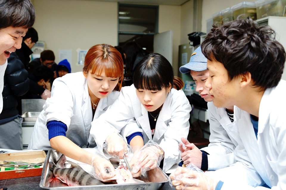 국립군산대 해양생물자원학과 학생들이 실습하고 있는 모습. (사진=국립군산대 제공)