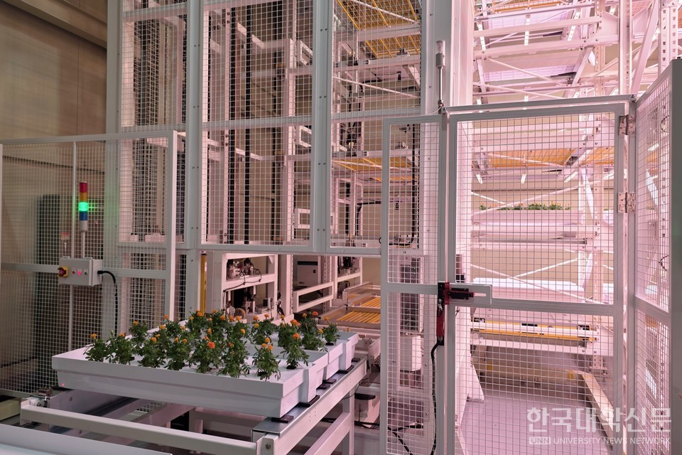 자동화 연구실에 있는 마리골드가 셔틀 로봇에 탑승한 모습. (사진= 주지영 기자)