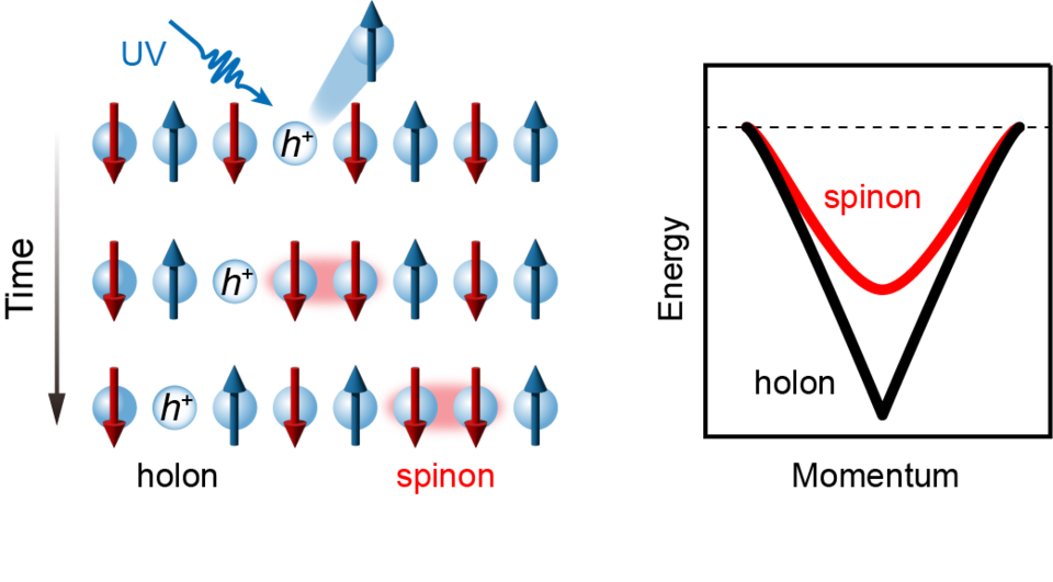1차원 금속 물질의 광전자가 방출되는 과정에서 나타나는 스핀-전하 분리 모식도(왼쪽) 서로 다른 속도로 전달되는 스핀 움직임(Spinon)과 양전하 움직임(Holon)의 에너지-운동량 분포 모식도(오른쪽)