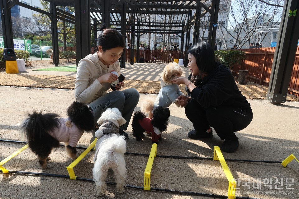 동명대학교 반려동물대학