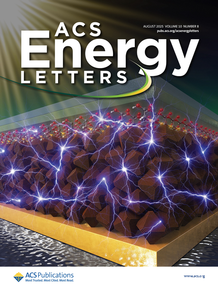 국제 학술지 ‘ACS Energy Letters’ 2025년 8월호 표지 이미지.