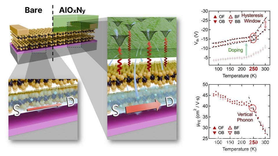 연구관련 모식도