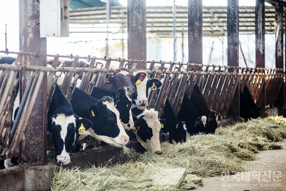 사진=아이클릭 아트