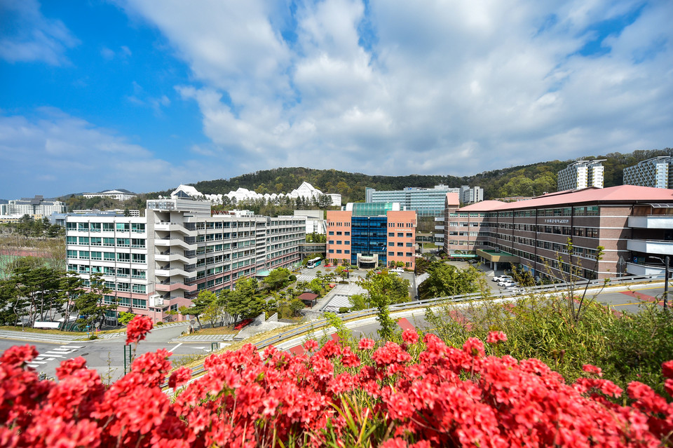 조선이공대 전경. (사진=조선이공대)