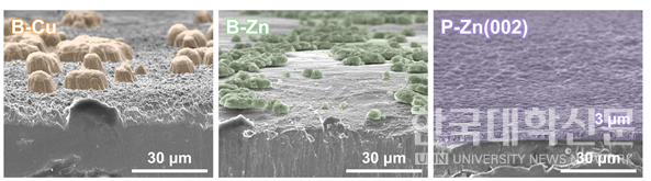 다결정 구리, 다결정 아연 및 단결정 아연(002) 집전체를 사용한 마그네슘 핵형성·성장 과정 비교
