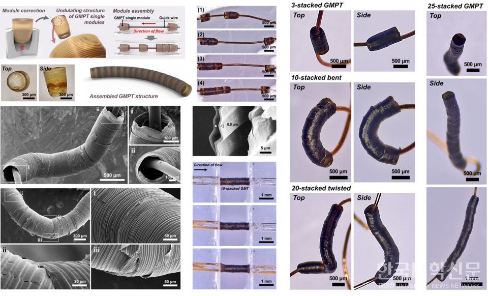 3차원 산화그래핀 관형구조체(GMTP)의 구조 분석 및 유연성 시험 결과