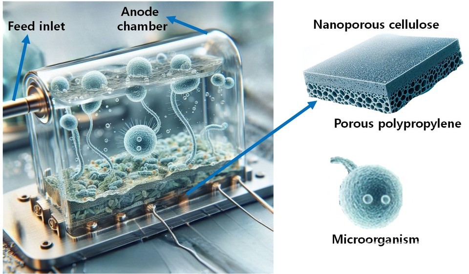 강상욱 교수 연구팀의 신기술 개발 모식도.