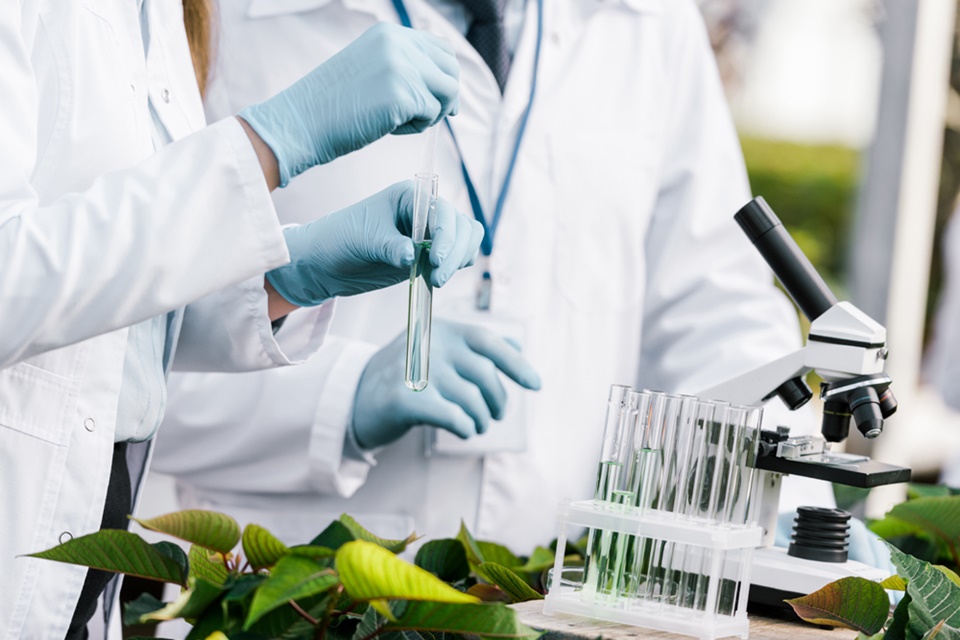 교육부는 지난 1월 ‘2023년 인문사회·이공분야학술연구지원사업 종합계획’을 발표하며 이공계 분야의 학문후속세대 지원, 대학연구기반 구축, 학문균형발전 지원 강화를 제시한 바 있다. 하지만 오히려 교육부의 이공계 연구 지원 예산은 감축됐다. (사진=아이클릭아트)