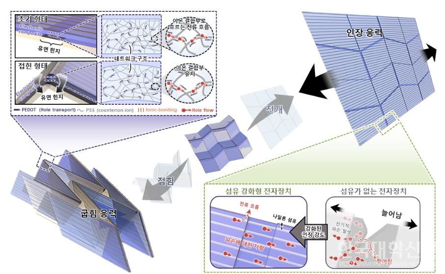 유연한 고분자 전극 소자(PEDOT:PSS)에 나일론 섬유를 내장하여 여러 번 접고, 당겨도 높은 내구성을 유지하는 오리가미 전자장치의 개략도. 고분자 전극 소자의 분자 간 네트워크 구조로 인한 접힘 안정성과, 내장된 나일론 섬유로 인해 당기는 힘에도 찢김이 방지되는 현상을 보여준다.