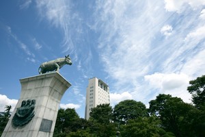 [2026 정시/건국대학교] 열린 전공선택과 학생창업 전국 1위, 융합인재 ... - 뉴스 썸네일 이미지