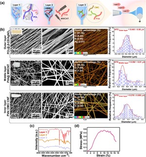 강원대 임기택 교수 연구팀, 차세대 생분해 마스크 필터 개발
