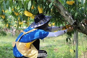 농촌 출신 학자금대출, 올해 대학원생까지 확대... 주말 신청 가능, 2월 ... - 뉴스 썸네일 이미지