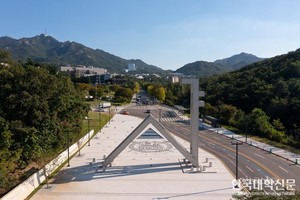 대학 순위